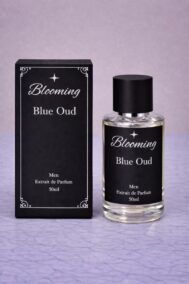 Perfumes (13)